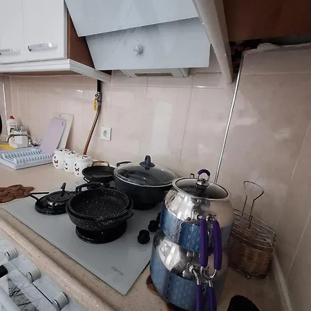 3 Ege Ueniversite Ve Hastanesi Yakini Aileye-firma Calisanlarina Uygun Apartment Bornova